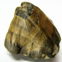 Cassiterite Var Wood Tin