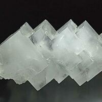 Halite & Leonite Psm Picromerite