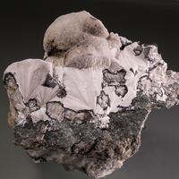 Pectolite