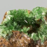 Annabergite