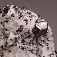 Pargasite