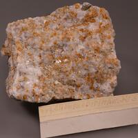 Chondrodite & Phlogopite