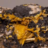 Wulfenite