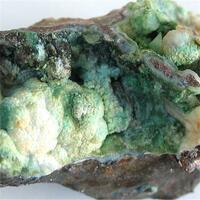 Ajoite With Chalcedony & Shattuckite