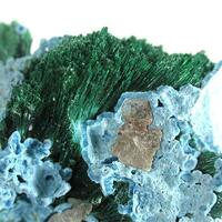 Malachite With Shattuckite