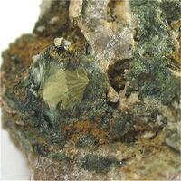 Olivenite Var Wood Olivenite