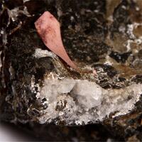 e-Rocks Mineral Auctions