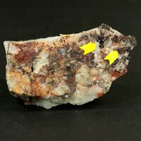 Gold With Pyrite & Limonite