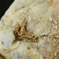 Gold With Calcite