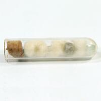 Boracite