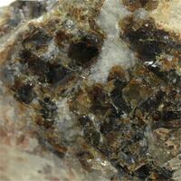 Synchysite-(Ce) With Elpidite