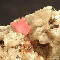 Sacrofanite