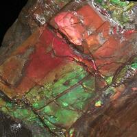 Ammolite