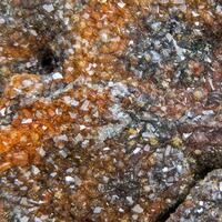 Fluellite