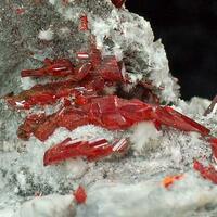 Picropharmacolite & Realgar