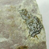 Gerasimovskite