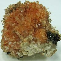 Creedite