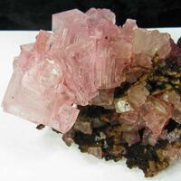 Halite On Nahcolite