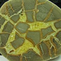 Calcite Var Septarian Nodule