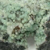 Fluellite