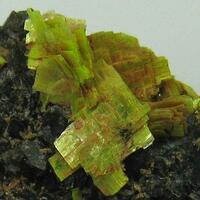 Meta-autunite