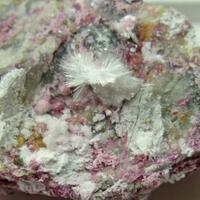 Picropharmacolite & Guérinite