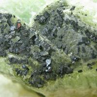 Babingtonite On Prehnite