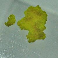 Bayleyite