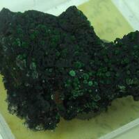 Philipsburgite & Conichalcite