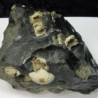 Cristobalite In Obsidian