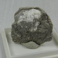 Ulexite