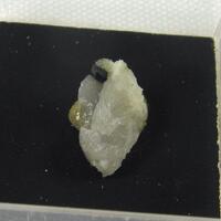 Columbite