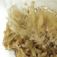 Gypsum Var Selenite