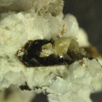 Catapleiite & Albite