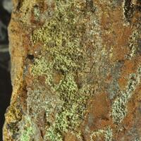 Coeruleolactite