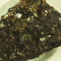 Wardite