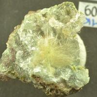 Byssolite