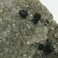 Bornite