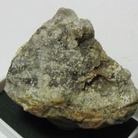 Carbonate-rich Hydroxylapatite