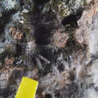 Scholzite