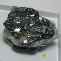 Murmanite