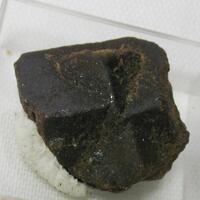 Staurolite