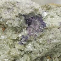 Fluorite On Mica