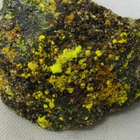 Uranopilite