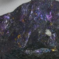 Bornite