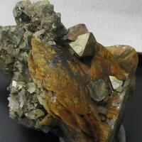 Pyrite & Siderite