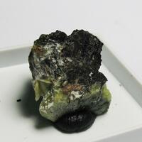 Lomonosovite