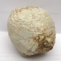 Orthoclase Psm Leucite