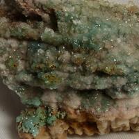 Cuprian Adamite