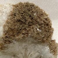 Scolecite